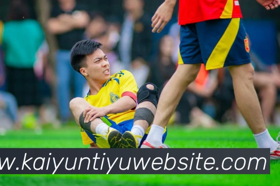 多媒体互动体验